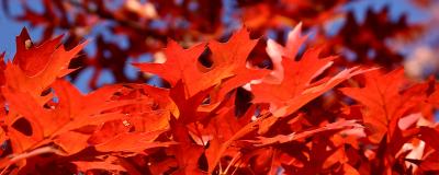 041023 Colors of Fall -010.jpg