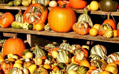 041023 Colors of Fall -020.JPG