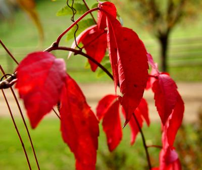 041023 Colors of Fall -025.jpg