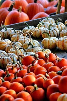 041023 Colors of Fall -026.jpg