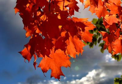 041023 Colors of Fall -027.jpg