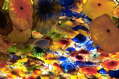 CHIHULY SKY