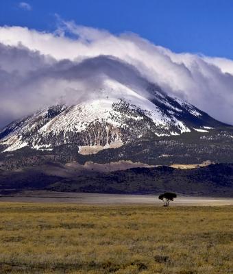 Lonely Tree near La Veta Pass, CO