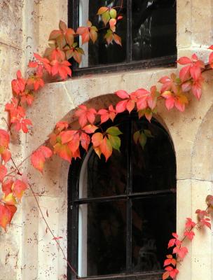Colour on Stone