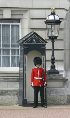 Guardsman at Buckingham Palace