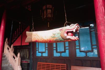 p11_resize.jpg