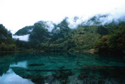 p12_resize.jpg