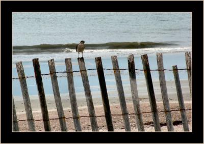 fernandina_beach_fl_on_6-4-2004