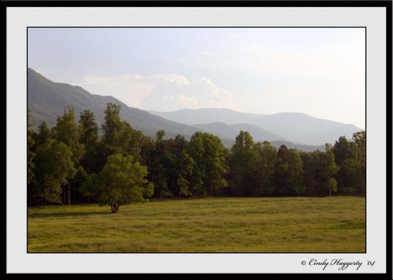 Tennessee Series 313