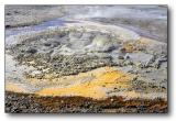 Anemone Geyser : Yellowstone
