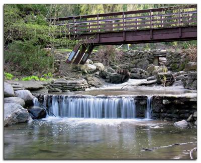 Peaceful stream