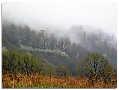 Fog over the Bluffs