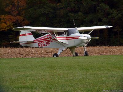 u46/staggerwing/medium/35296351.tripacer2.jpg