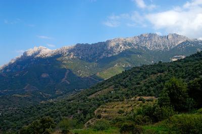 landscape.jpg