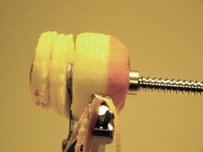 Apple Core 1