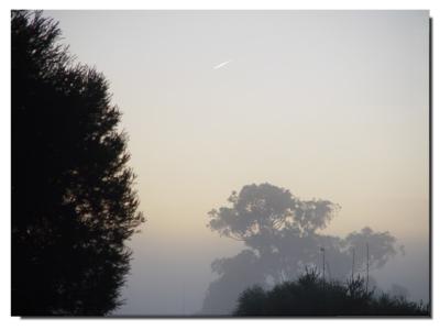 Dawn Flight to Sydney*by Ric Skilton