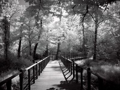 6th Place: Boardwalk By Pete W
