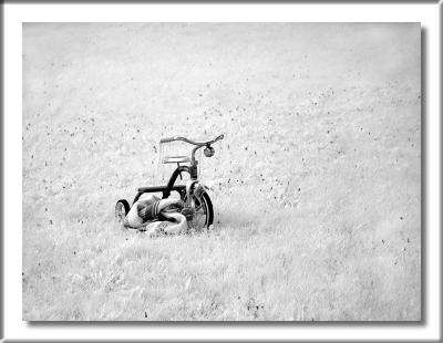 7th Place: Missing by Dave V 