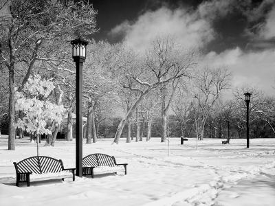 Winter IRbydave v