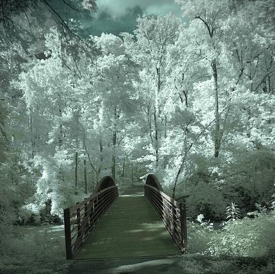 5th Place: The Bridge By Pete W
