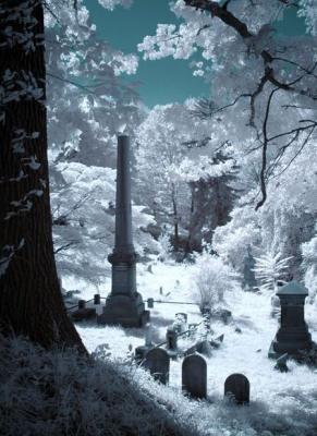  Mt. Hope Cemetary Sceneby Lou Gonzalez