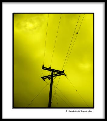 Telephone line by Miguel Garcia-Guzman