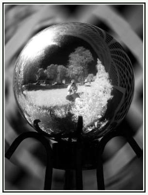 6th Place: My Infrared World by Linda L 