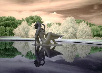  3rd Place: The nightmare of the swan princess by JesusV 