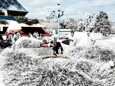 WDW or Logan's Run by Justin Miller