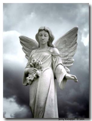 10th Place: Guardian In The Storm by Jerry Kneupper