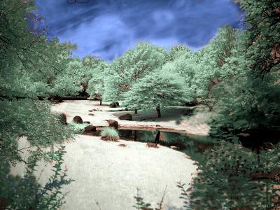 Bronx Zoo IR #2