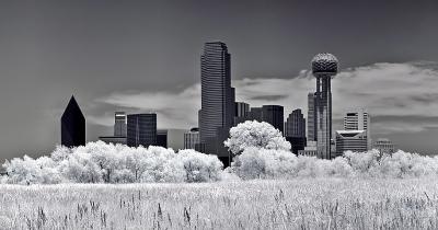 Dallas Infraredby James Langford
