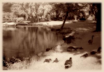 Monona Bay by Katherine Kenison