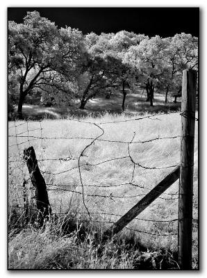 mended fences *by Michael Puff