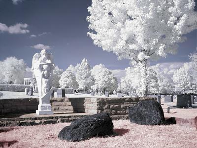 Serenityby haley