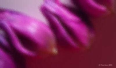 Tulips Under Glass