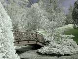 <B>5th Place: Wooden Bridge by kt</B>