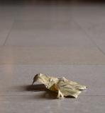 Leaf on Marble