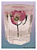 <b>5th(tie)<br>Ice Flower*</b>
