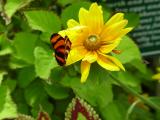 ....attracts the best<br>by Tajinder