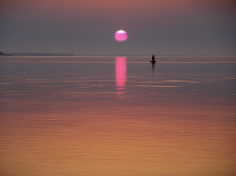 Dawn In New York  by Joe
