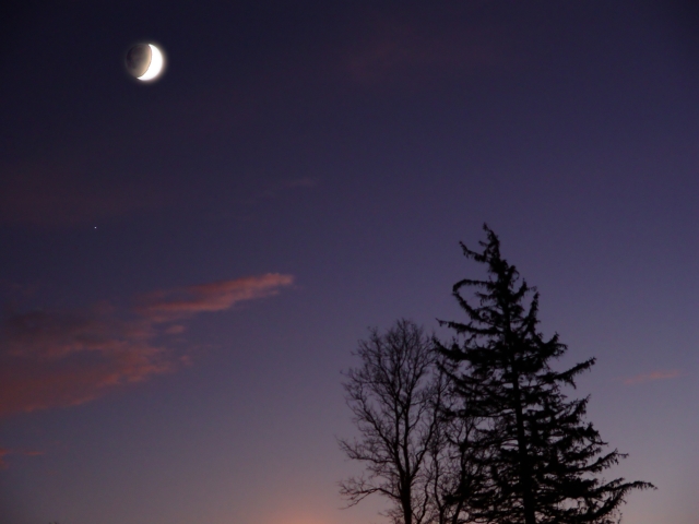 <b>Purple Sky</b><br><font size=1> by Lou Gonzalez</font>