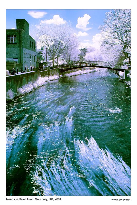 [Example IR Image - NOT for voting!]