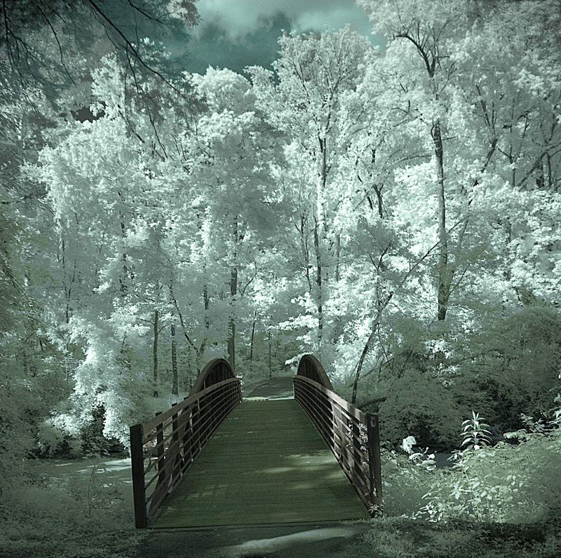 <b>5th Place: The Bridge By Pete W</b>