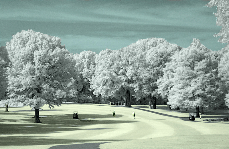 The Golfers by Peter W