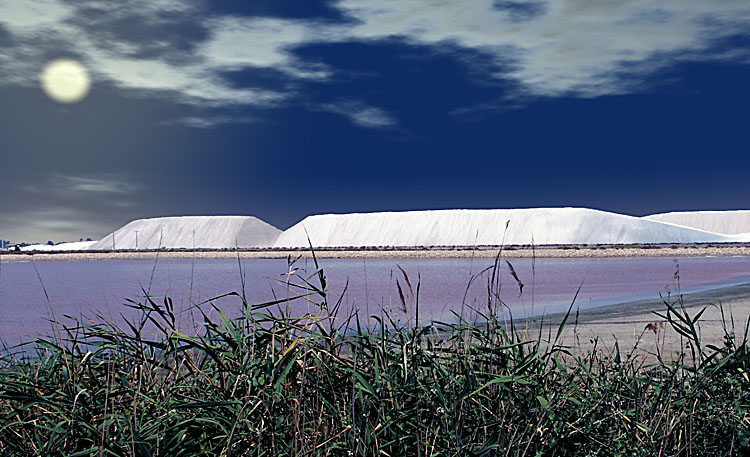 <B>Salt Marsh in Camargue</B><BR><FONT size=2>by Moti</FONT>