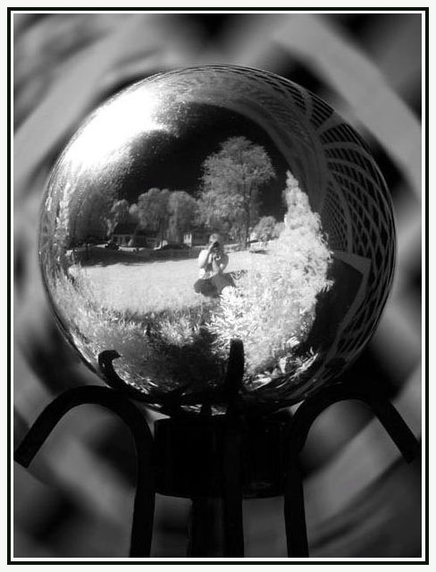 <b>6th Place: My Infrared World by Linda L </b>