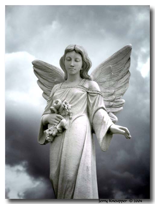 <B>10th Place: Guardian In The Storm by Jerry Kneupper</B>