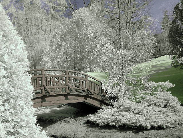 <B>5th Place: Wooden Bridge by kt</B>