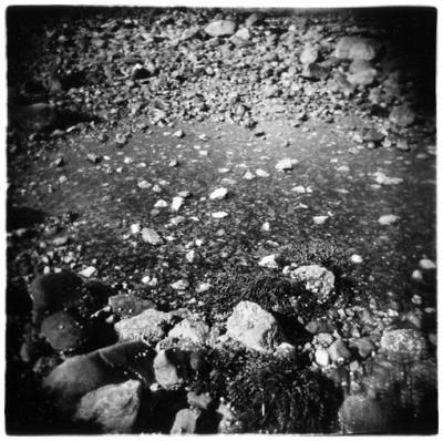 between the point & pilgrim